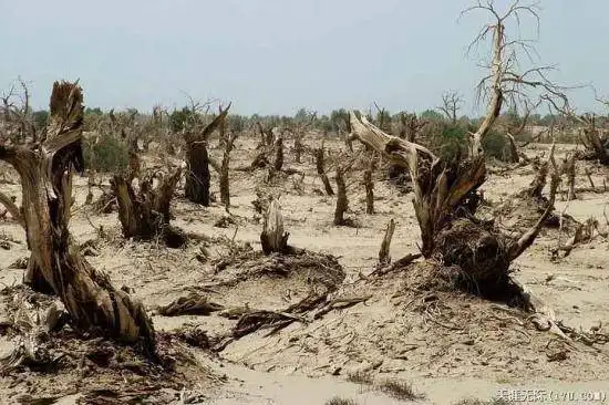 穿越塔克拉玛干（中）