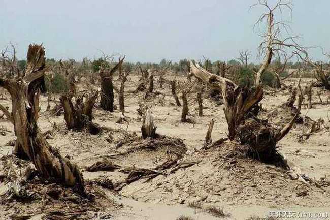穿越塔克拉瑪干(中),圖十三