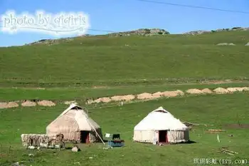 北疆自然揽胜之三：纯美翡翠喀纳斯,图四