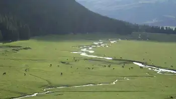 新疆－－喀纳斯湖,图十二