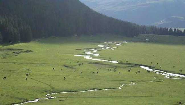 新疆－－喀纳斯湖,图十二