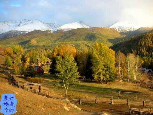 新疆圆舞曲7,图十