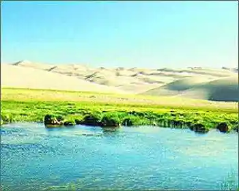 阿尔金山自然保护区!!!,图四