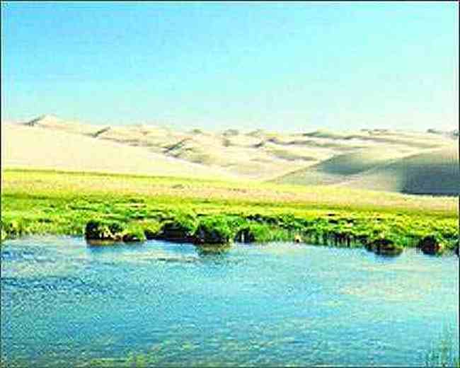 阿尔金山自然保护区!!!,图四