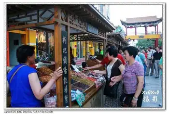 【走进新疆】3.走在安西戈壁滩上,图九