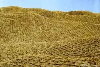 穿越塔克拉玛干（下）,图二