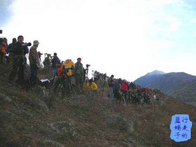 新疆圆舞曲3,图十五