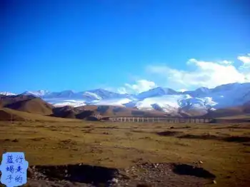 新疆圆舞曲8,图四