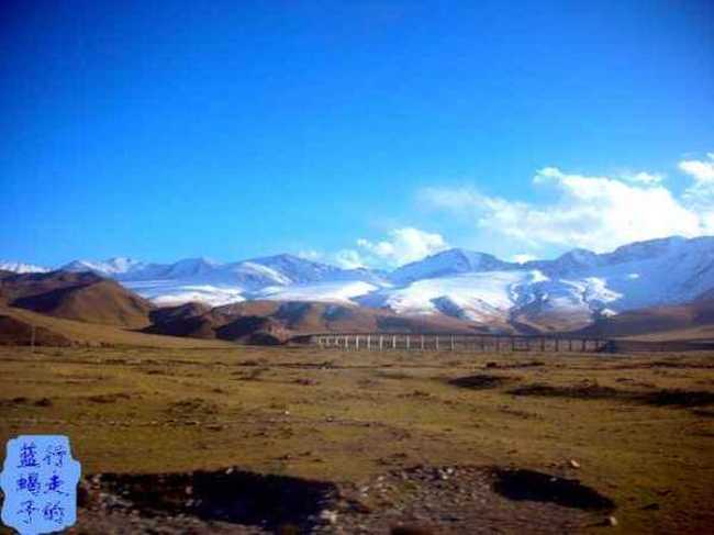 新疆圆舞曲8,图四