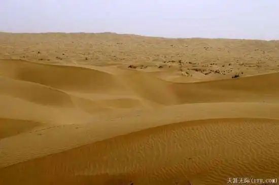 穿越塔克拉玛干（中）