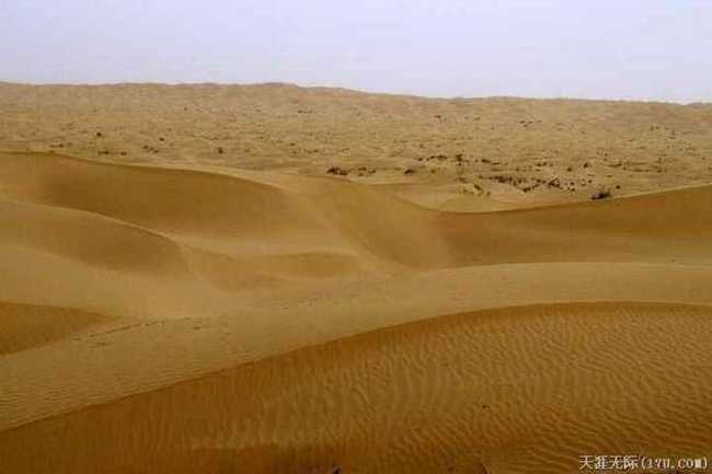 穿越塔克拉瑪干(中),圖二十四