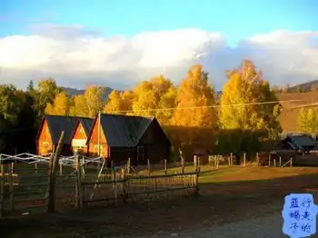 新疆圆舞曲7,图二十六