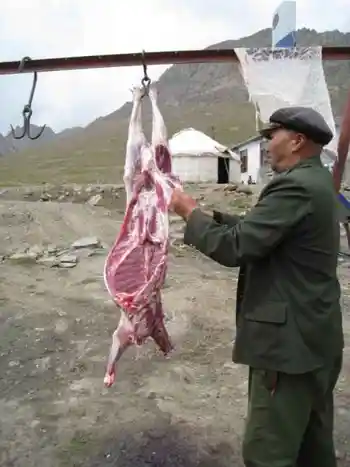 新疆，心无疆—中国新疆天山1号冰川、南山,图十一