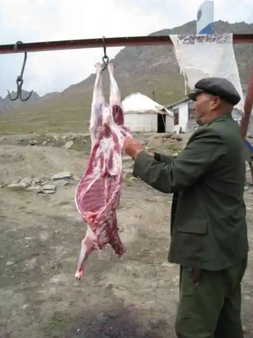 新疆，心无疆—中国新疆天山1号冰川、南山