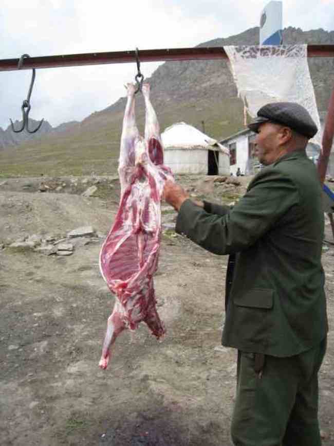 新疆，心无疆—中国新疆天山1号冰川、南山,图十一