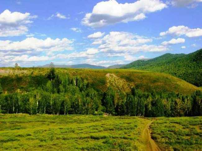 信马游“疆”D7——在禾木的悠闲时光,图二