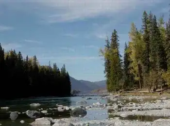 新疆－－喀纳斯湖,图六