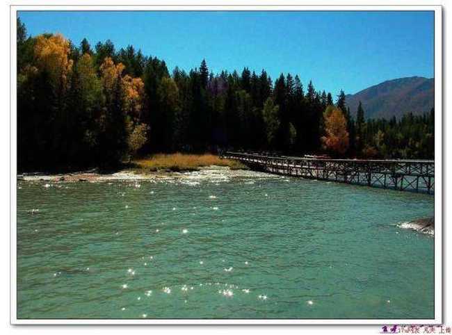 星光灿烂的喀纳斯湖,图一