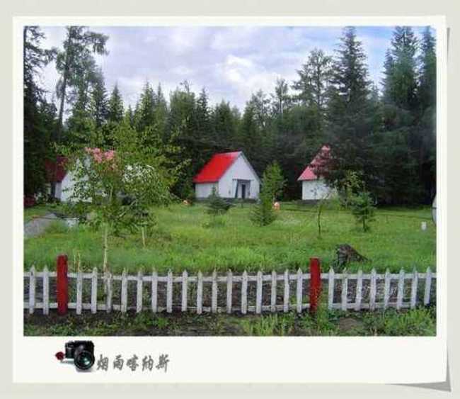 烟雨喀纳斯,图五