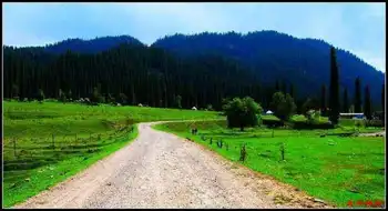 绿色伊犁的避暑胜地-厍尔德宁,图三