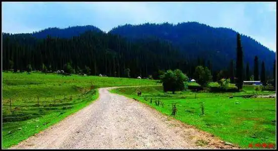 绿色伊犁的避暑胜地-厍尔德宁