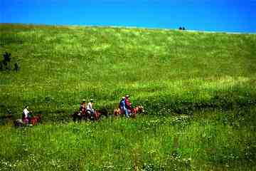 新彊那拉提草原掠影,图九