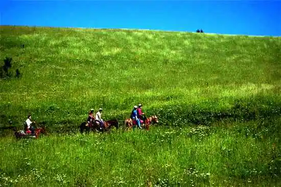 新彊那拉提草原掠影