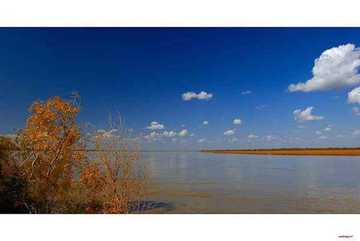 陶醉在塔里木河畔,图三