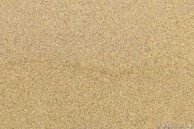 穿越塔克拉瑪干(中),圖二十八