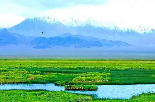 阿尔金山荒原的壮美!