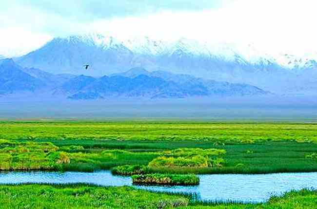 阿尔金山荒原的壮美!,图一