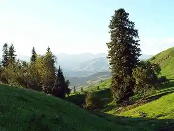到青葱草原策马扬鞭,图二