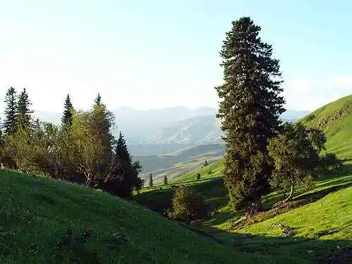 到青葱草原策马扬鞭