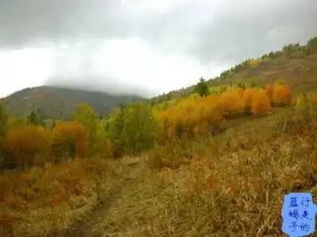 新疆圆舞曲4,图三