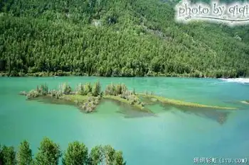 北疆自然揽胜之三：纯美翡翠喀纳斯,图十六