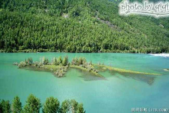 北疆自然揽胜之三：纯美翡翠喀纳斯,图十六
