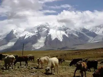 信马游“疆”D11,图三