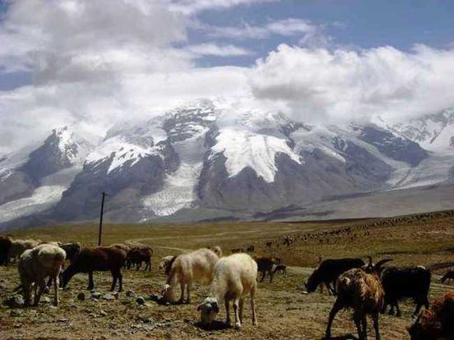 信马游“疆”D11,图三