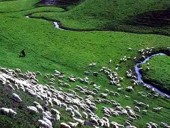 到青葱草原策马扬鞭,图十