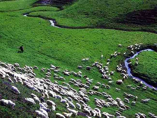 到青葱草原策马扬鞭,图十