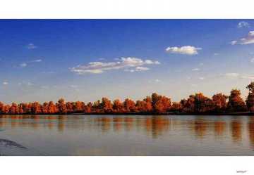 陶醉在塔里木河畔,图十一