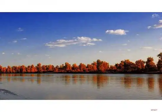 陶醉在塔里木河畔