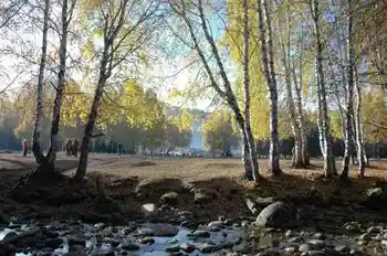 新疆行吟(７)：童话般的禾木村,图十七