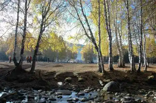 新疆行吟(７)：童话般的禾木村