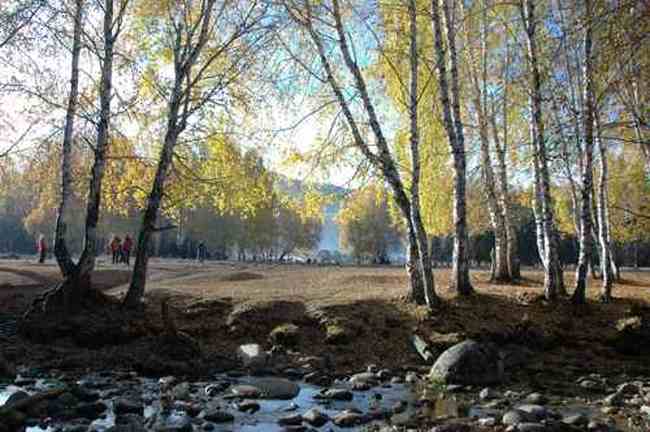 新疆行吟(７)：童话般的禾木村,图十七