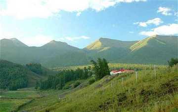 新疆盛宴—喀纳斯,图三