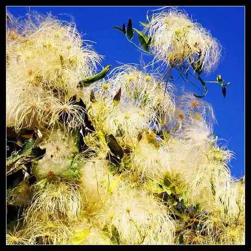 新疆:谁是谁的异乡人!