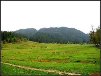 绿色伊犁的避暑胜地-厍尔德宁,图四