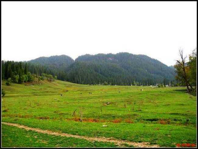 绿色伊犁的避暑胜地-厍尔德宁,图四