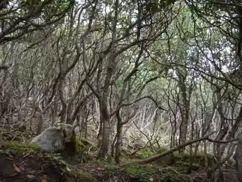 爱上行走的感觉——冰晶顶－桦林湾穿越记行,图四